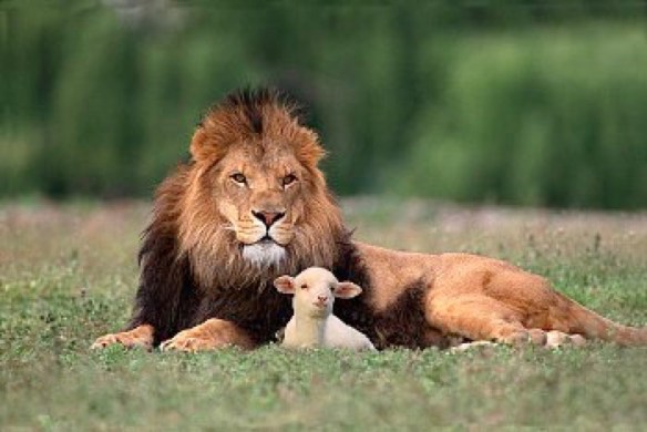 lec3b3n-y-cordero-2016-05-28-08-29